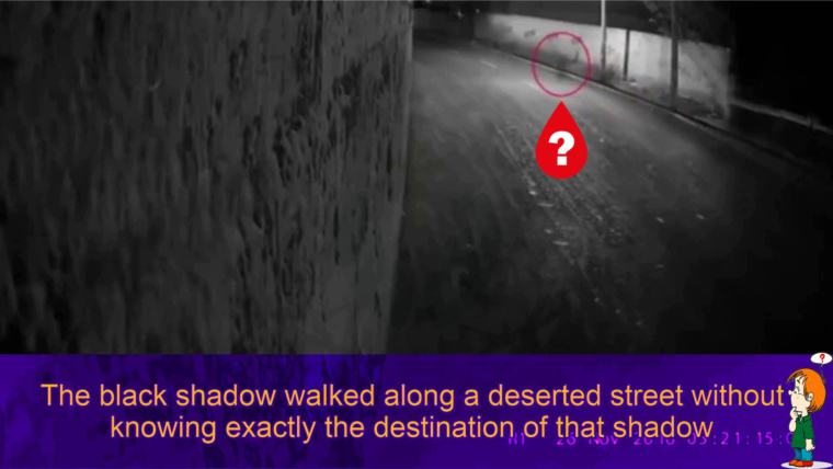 Situation Street: “A mysterious black shadow walked along the street at night”